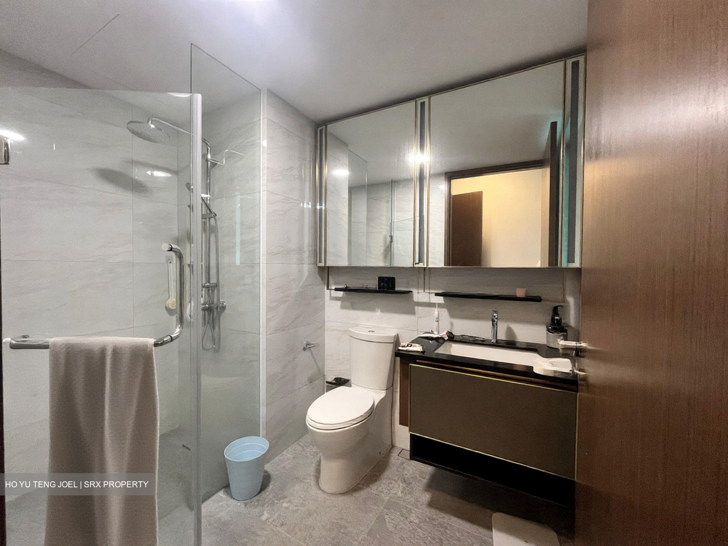 Normanton Park (D5), Apartment #508211961